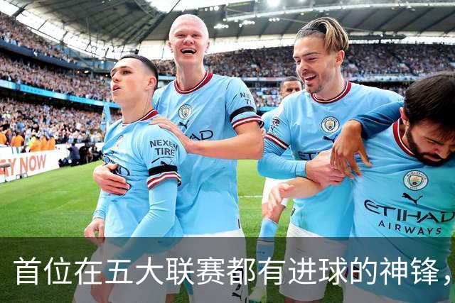 首位在五大联赛都有进球的神锋，还在世界杯风光过，却失意于米兰