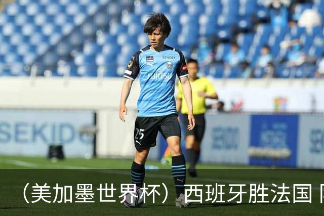 （美加墨世界杯）西班牙胜法国 队史第二次闯入世界杯决赛